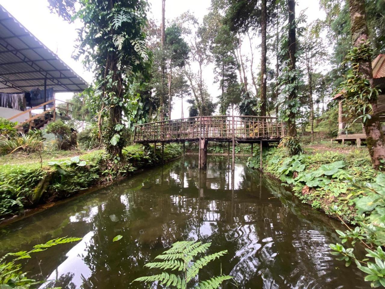 دارجيلنغ Magnolia Farmhouse And Homestay المظهر الخارجي الصورة